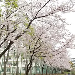 豊中市立第十四中学校