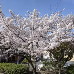 つつじ公園