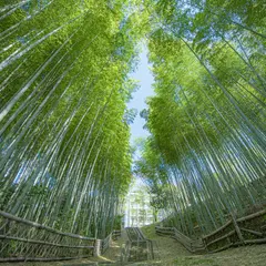千里東町公園