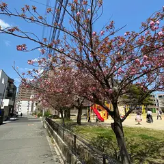 長興寺公園