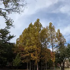 古江公園