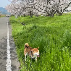 茶堂公園
