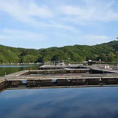 はさま浦釣り堀センター