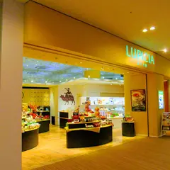 ルピシア 豊洲店