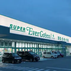 スーパーエバグリーンプラス 橿原膳夫店