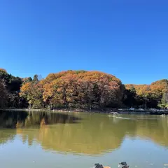 伊古の里フィッシングパーク