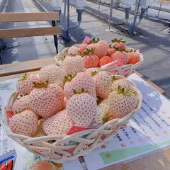 BerryParkいずみの
