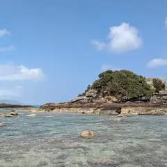野原崎