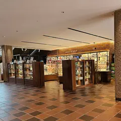 福岡市立美術館ミュージアム