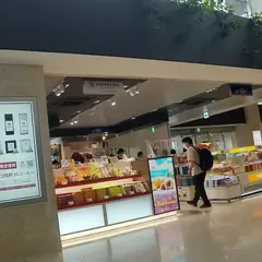 エーデルワイス 沖縄 石垣
