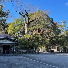 伊勢神宮 外宮1第駐車場