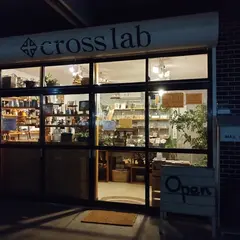 cross×lab