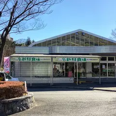 流山市 農産物直売所 新鮮食味