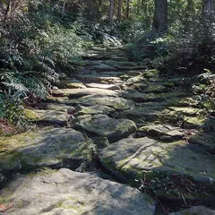 熊野古道 馬越峠 登り口（南側）