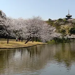 本牧市民公園