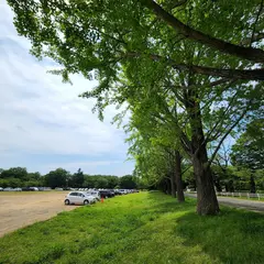 自由広場駐車場（佐倉城址公園）