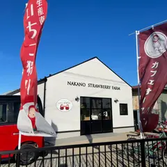 やよいひめのいちご狩りができる観光農園 中野ストロベリーファーム