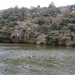 賢沼寺