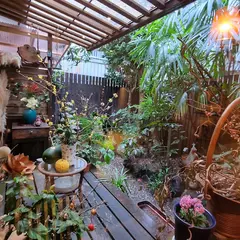 おうちカフェ 樹林