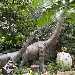 Dinosaur Adventure Tour