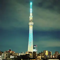 寅ホテル 浅草 TORA HOTEL ASAKUSA
