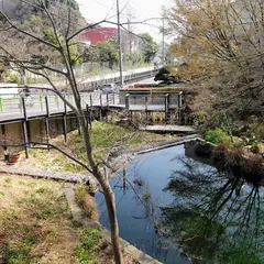 岡本わきみず緑地