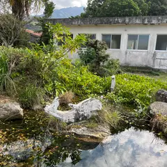 屋久島町立永田小学校