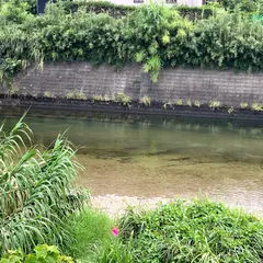 屋久島町立一湊小学校