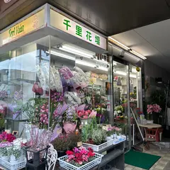 千里花壇