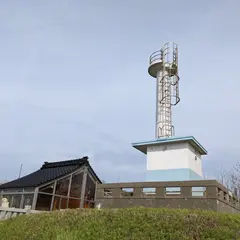 白尾灯台