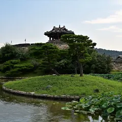 龍淵