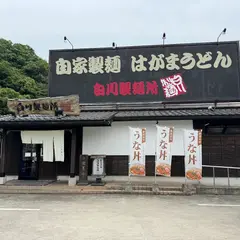 白川製麺所