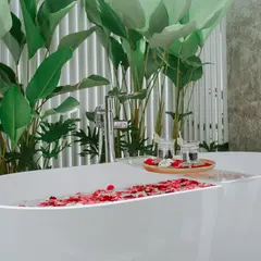 The Canopy Spa