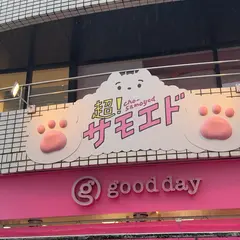 超！サモエド原宿店