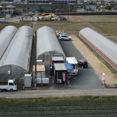 立花いちご農園