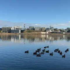 水戸の景観30選（１５）千波湖（偕楽園公園）
