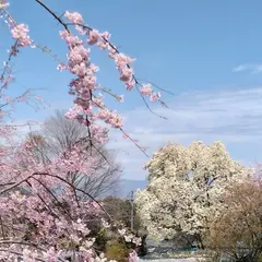 光前寺