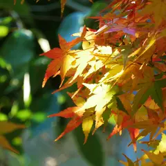 上新田2丁目第1公園