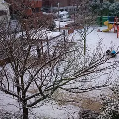 向丘公園