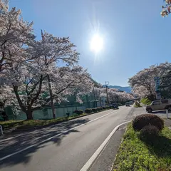 茅野市運動公園