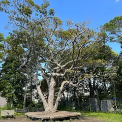 材木座たぶのき公園