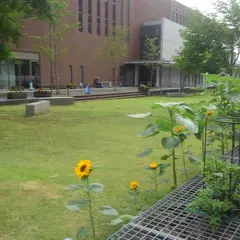 仙台市 宮城野図書館