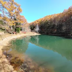 いわなの森
