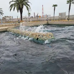 潮吹き防波堤レプリカ