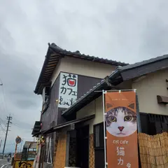 保護ねこカフェ ねこ屋 高茶屋店