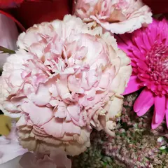 ル・ヴァン・ドゥ・テール