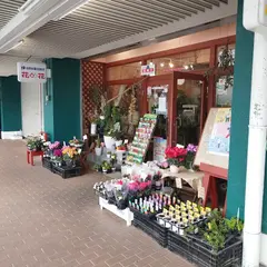 フローリスト 花花