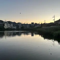 赤坂下池