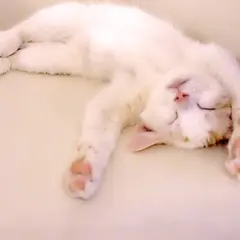 眠れるほぐし処 うたたね