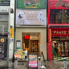 サモエドカフェ SAMOEDO'S 大阪心斎橋店